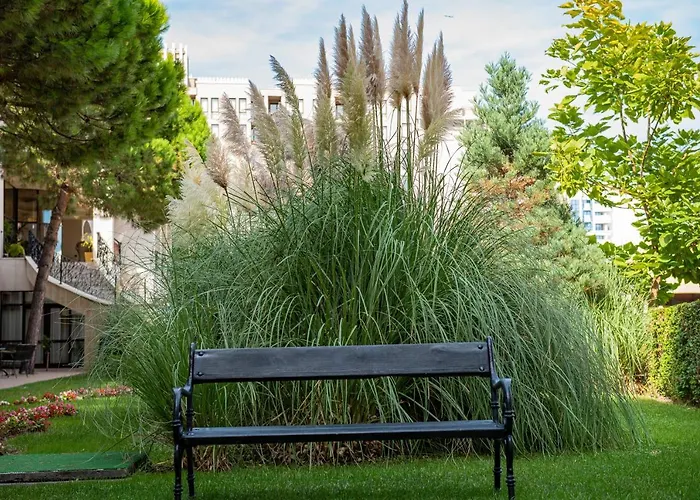 Menada In Royal * サニービーチ